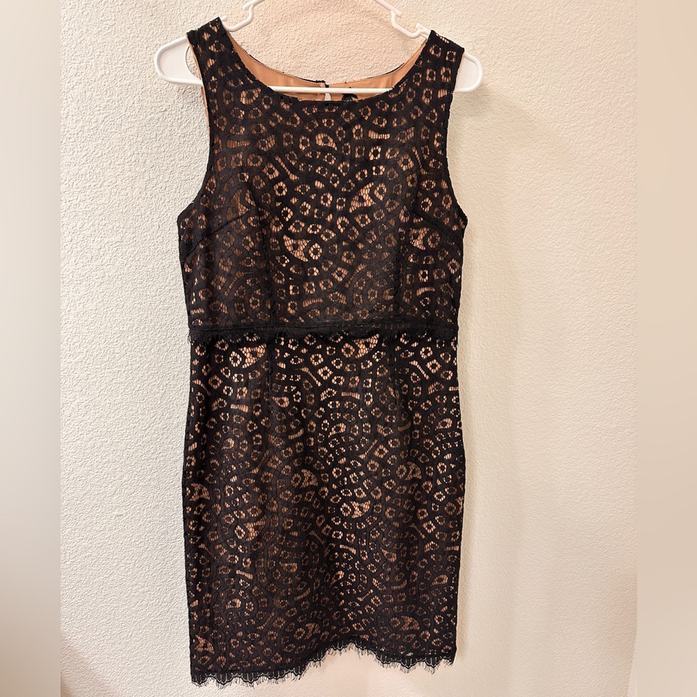 Lapis Black lace with nude under lay.  Large.  Never worn